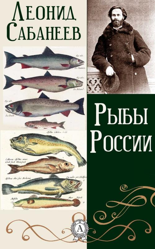 Cover of the book Рыбы России by Леонид Сабанеев, Dmytro Strelbytskyy