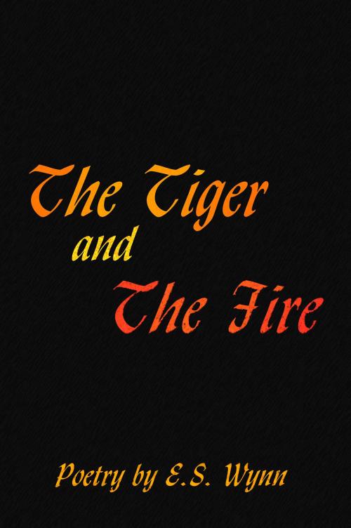 Cover of the book The Tiger And The Fire by E.S. Wynn, Thunderune Publishing