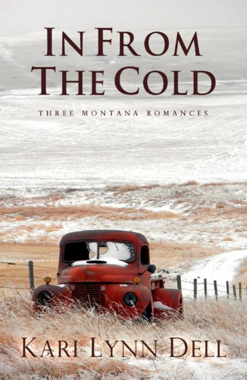 Cover of the book In From the Cold by Kari Lynn Dell, Kari Lynn Dell