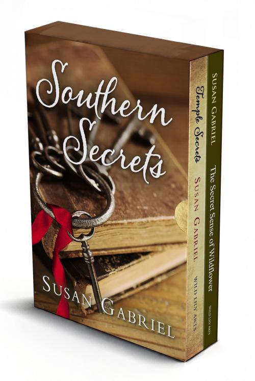 Cover of the book Southern Secrets: Susan Gabriel Southern Fiction Box Set by Susan Gabriel, Wild Lily Arts