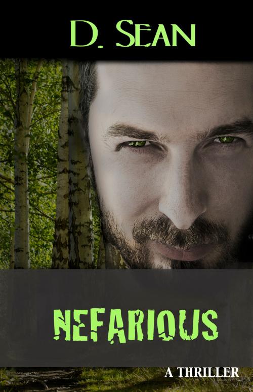 Cover of the book Nefarious by D. Sean, RAINDUST LLC