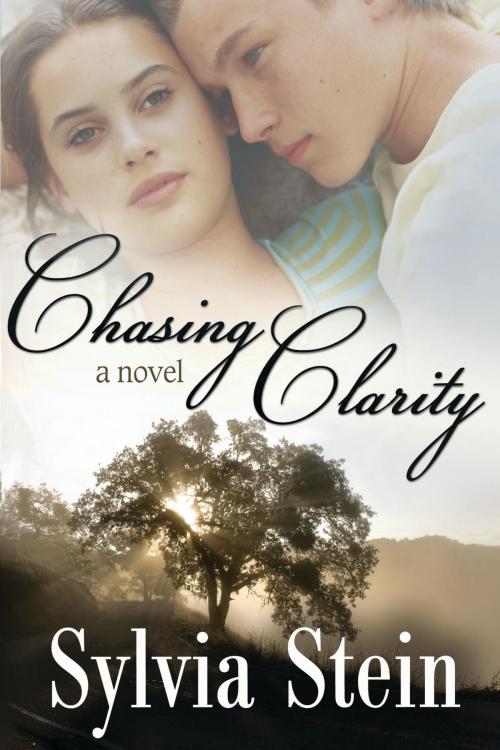 Cover of the book Chasing Clarity by Sylvia Stein, Sylvia Stein  uploaded by Pressbooks.com