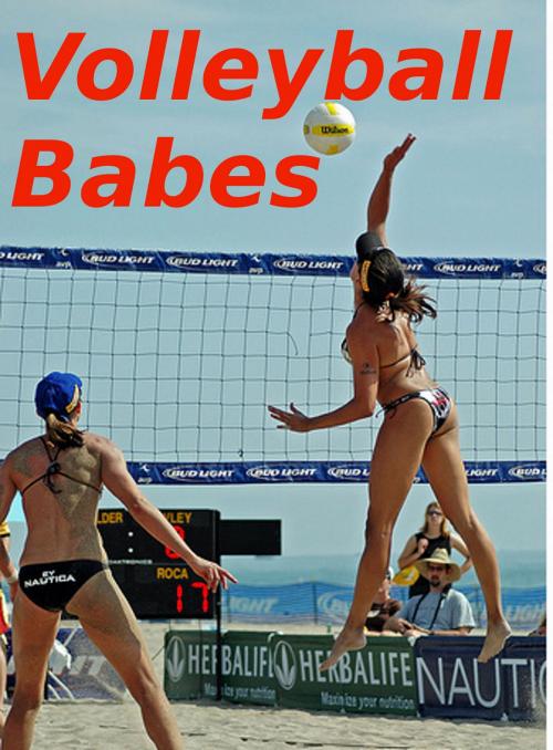 Cover of the book Volleyball Babes by BDP, BDP