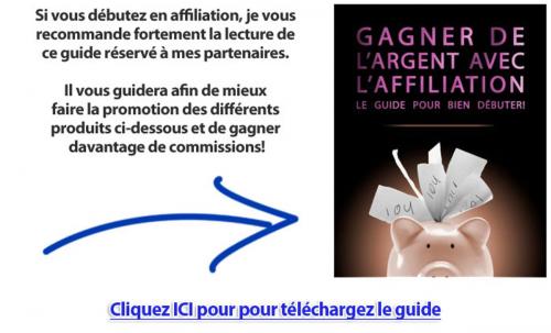 Cover of the book Comment gagner de l'argent avec l'affiliation ? by benoit dubuisson, Sylvain Wealth, french editor