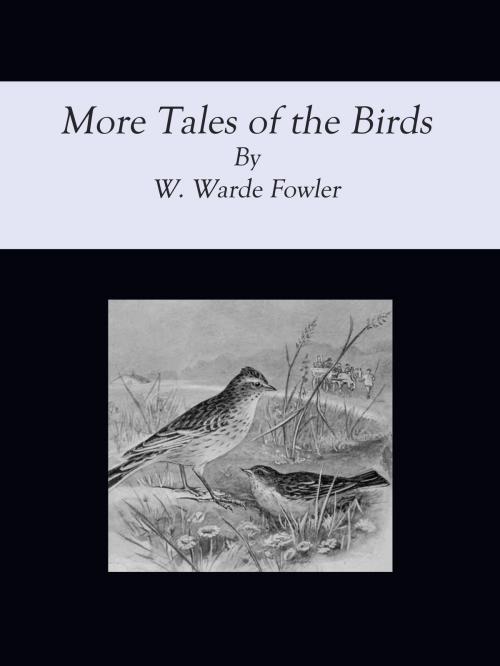 Cover of the book More Tales of the Birds by W. Warde Fowler, cbook2463