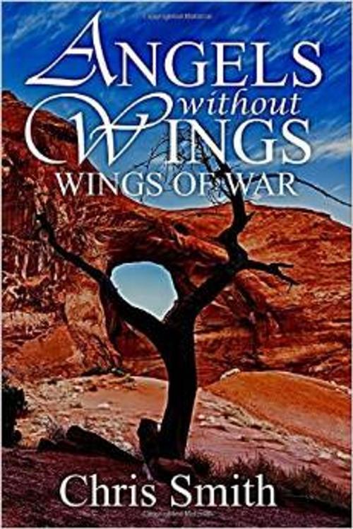 Cover of the book Wings of War by Chris Smith, Angel Meadows