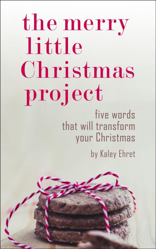 Cover of the book The Merry Little Christmas Project by Kaley Ehret, Kaley Ehret