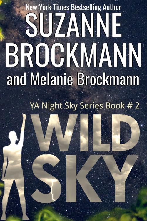 Cover of the book Wild Sky by Suzanne Brockmann, Melanie Brockmann, Suzanne Brockmann Books