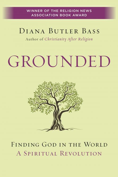 Cover of the book Grounded by Diana Butler Bass, HarperOne