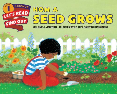 Cover of the book How a Seed Grows by Helene J. Jordan, HarperCollins