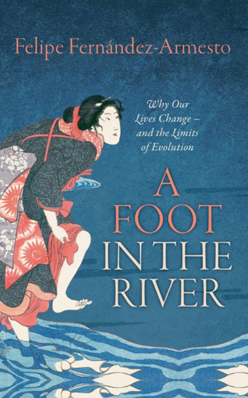 Cover of the book A Foot in the River by Felipe Fernández-Armesto, OUP Oxford