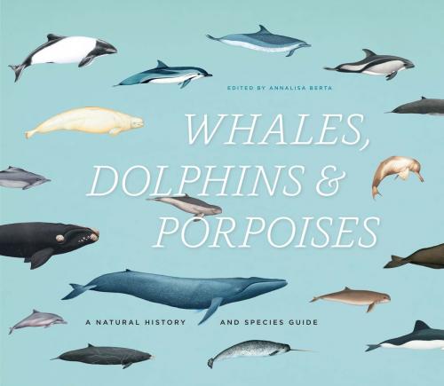 Cover of the book Whales, Dolphins, and Porpoises by , University of Chicago Press