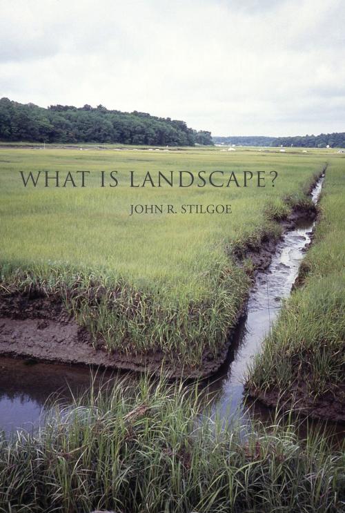 Cover of the book What Is Landscape? by John R. Stilgoe, The MIT Press