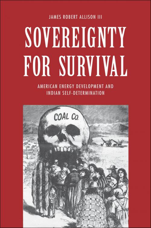 Cover of the book Sovereignty for Survival by James Robert Allison III, Yale University Press