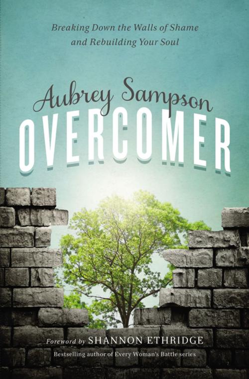 Cover of the book Overcomer by Aubrey Gayel Sampson, Zondervan