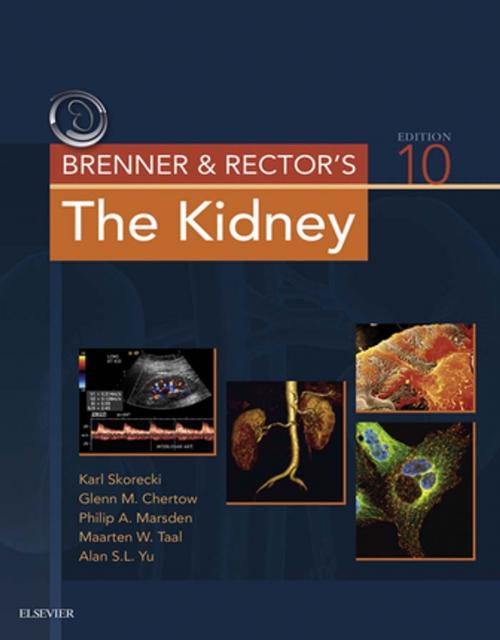 Cover of the book Brenner and Rector's The Kidney E-Book by Karl Skorecki, MD, FRCP(C), FASN, Glenn M. Chertow, MD, Philip A. Marsden, MD, Maarten W. Taal, MBChB, MMed, MD, FCP(SA), FRCP, Alan S. L. Yu, MD, Valerie Luyckx, MBBCh, MSc, Elsevier Health Sciences