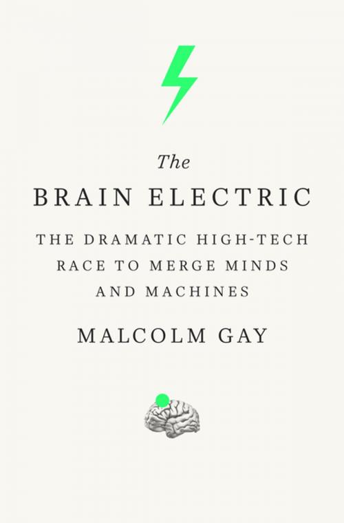 Cover of the book The Brain Electric by Malcolm Gay, Farrar, Straus and Giroux