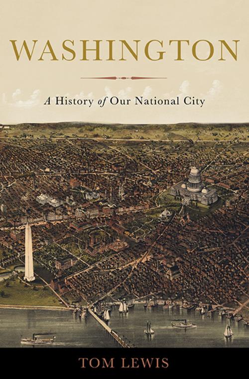 Cover of the book Washington by Tom Lewis, Basic Books