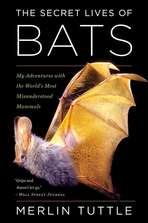 Cover of the book The Secret Lives of Bats by Merlin Tuttle, HMH Books