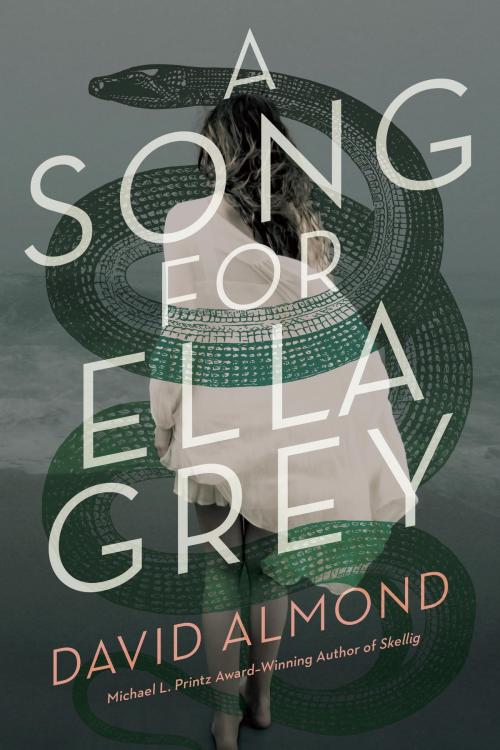 Cover of the book A Song for Ella Grey by David Almond, Random House Children's Books