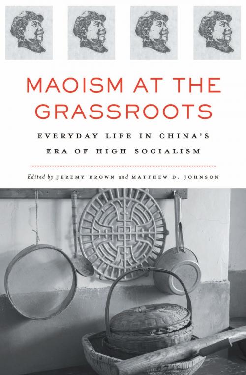 Cover of the book Maoism at the Grassroots by Jeremy Brown, Harvard University Press