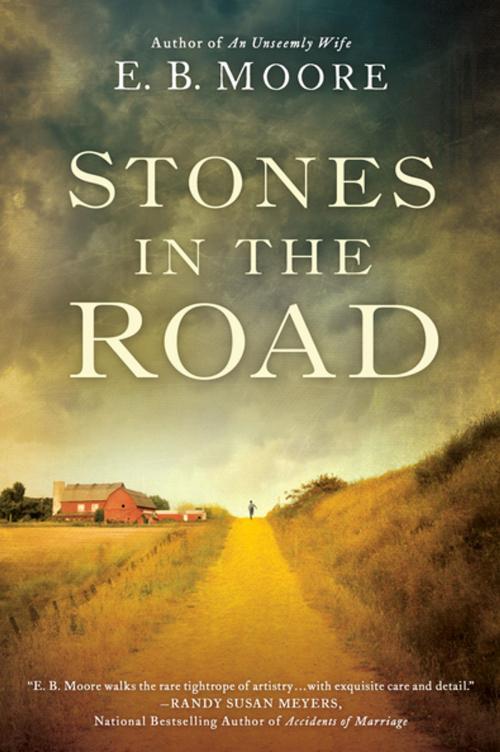 Cover of the book Stones In the Road by E.B. Moore, Penguin Publishing Group