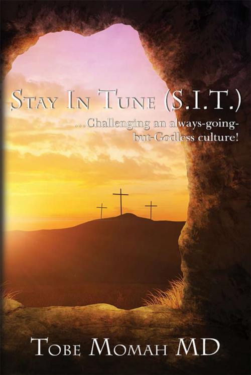 Cover of the book Stay in Tune (S.I.T.) by Tobe Momah, Advanced Global Publishing