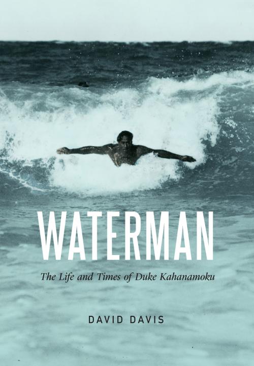 Cover of the book Waterman by David Davis, UNP - Nebraska