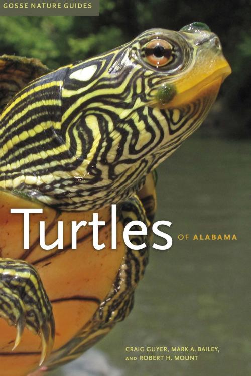 Cover of the book Turtles of Alabama by Craig Guyer, Mark A. Bailey, Robert H. Mount, University of Alabama Press