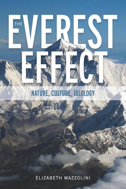 Cover of the book The Everest Effect by Elizabeth Mazzolini, University of Alabama Press