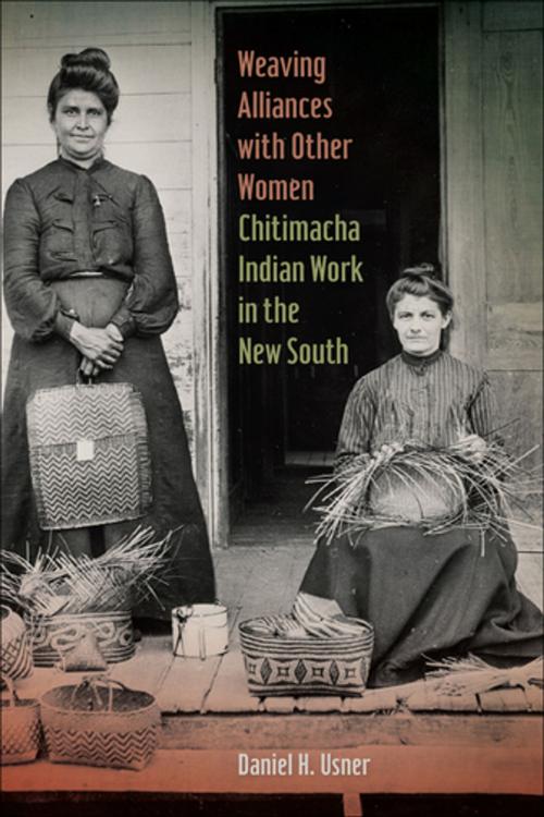 Cover of the book Weaving Alliances with Other Women by Daniel H. Usner, University of Georgia Press