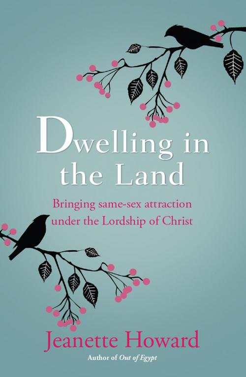Cover of the book Dwelling in the Land by Jeanette Howard, Lion Hudson LTD