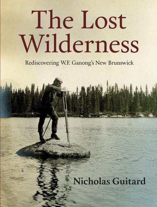 Cover of the book The Lost Wilderness by Nicholas Guitard, Goose Lane Editions