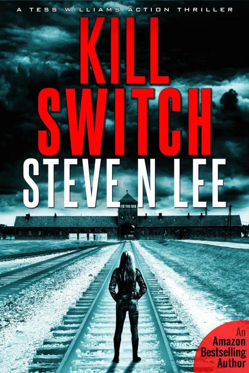 Cover of the book Kill Switch: an Action Thriller by Steve N. Lee, Blue Zoo