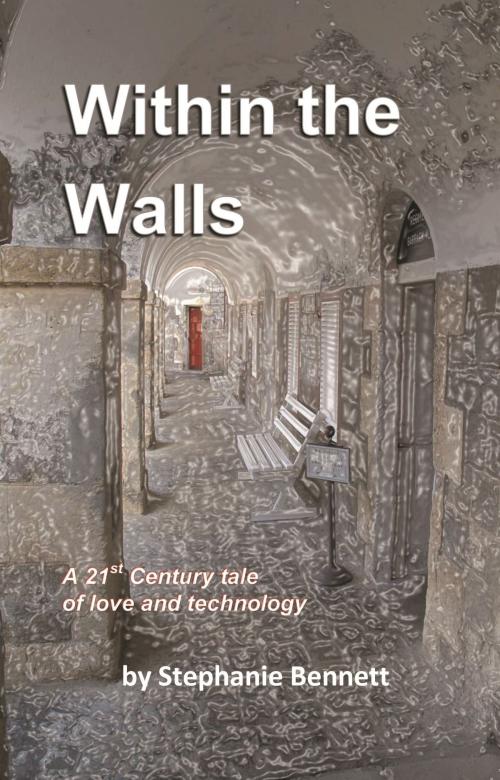 Cover of the book Within the Walls, A 21st Century Tale of Love and Technology by Stephanie Bennett, Wild Flower Press, Inc.
