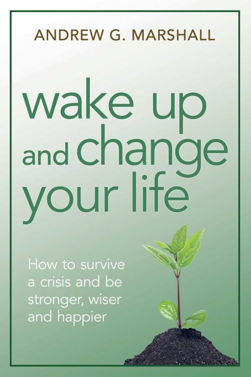 Cover of the book Wake Up and Change Your Life by Andrew G. Marshall, Health Communications Inc