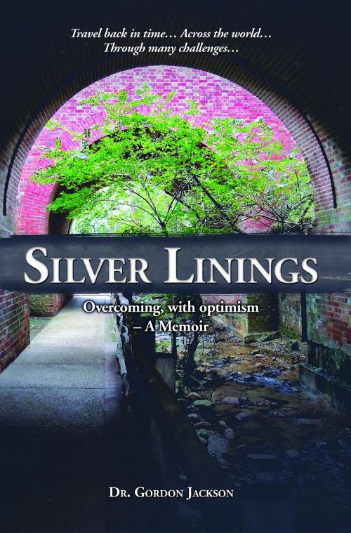 Cover of the book Silver Linings by Gordon Jackson, DR Publishers