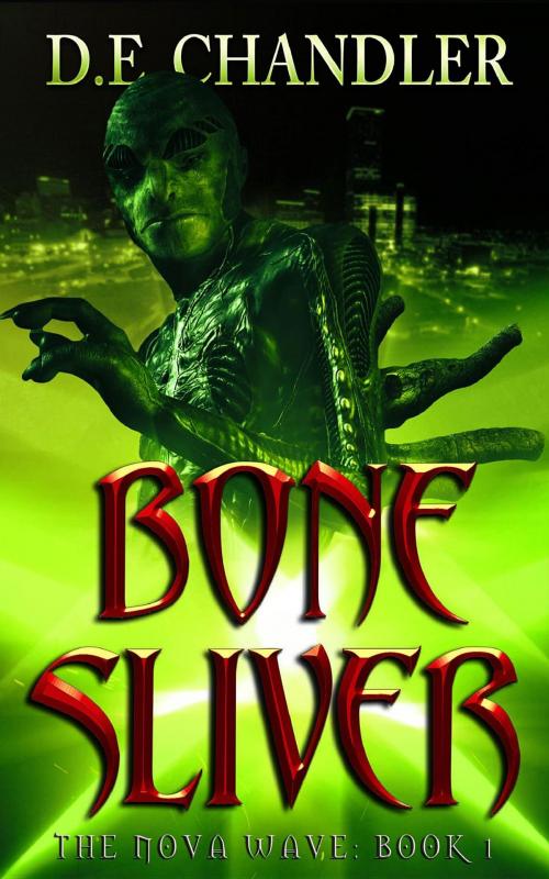 Cover of the book Bone Sliver by D. E. Chandler, Twisted Candle Media