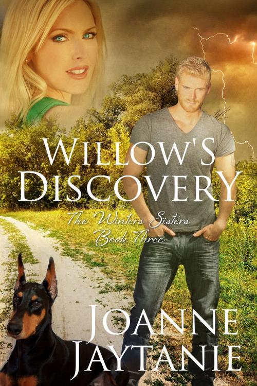 Cover of the book Willow's Discovery by Joanne Jaytanie, Joanne Jaytanie
