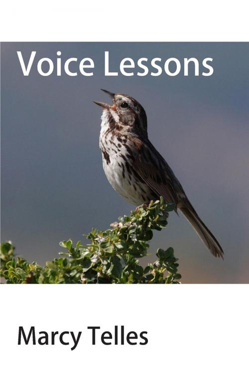 Cover of the book Voice Lessons by Marcy Telles, Marcy Telles