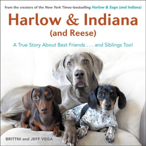 Cover of the book Harlow & Indiana (and Reese) by Brittni Vega, Penguin Publishing Group