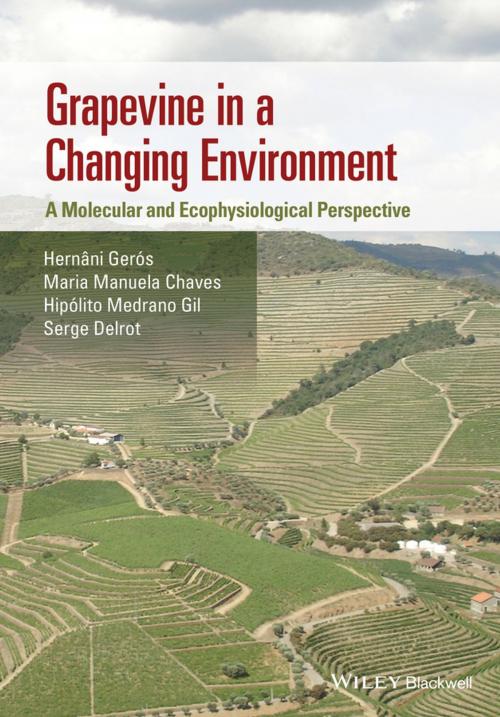 Cover of the book Grapevine in a Changing Environment by Maria Manuela Chaves, Hipolito Medrano Gil, Serge Delrot, Hernâni Gerós, Wiley