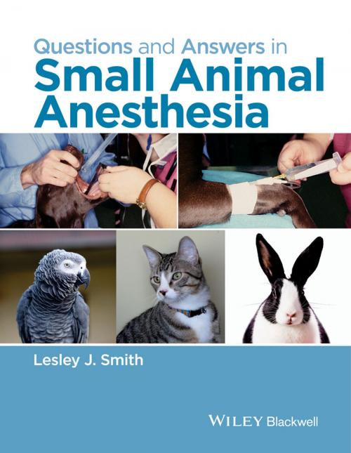 Cover of the book Questions and Answers in Small Animal Anesthesia by , Wiley