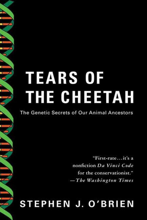 Cover of the book Tears of the Cheetah by Dr. Stephen J. O'Brien, St. Martin's Press