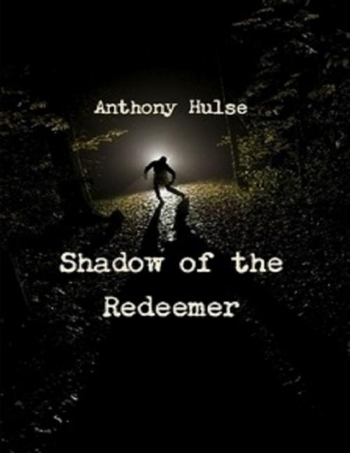 Cover of the book Shadow of the Redeemer by Anthony Hulse, Lulu.com