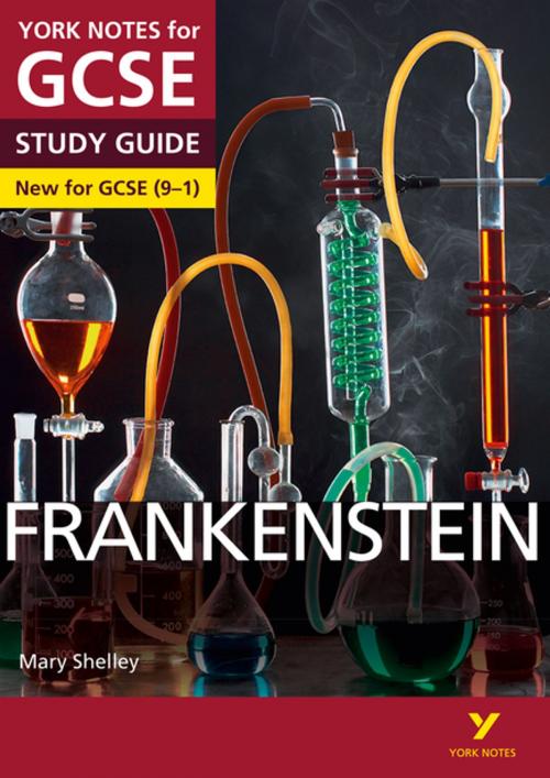 Cover of the book Frankenstein: York Notes for GCSE (9-1) by Mr Alexander Fairbairn-Dixon, Ms Emma Page, Pearson Education Limited