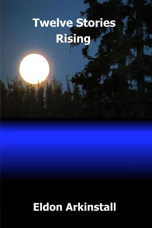 Cover of the book Twelve Stories Rising by Eldon Arkinstall, Eldon Arkinstall