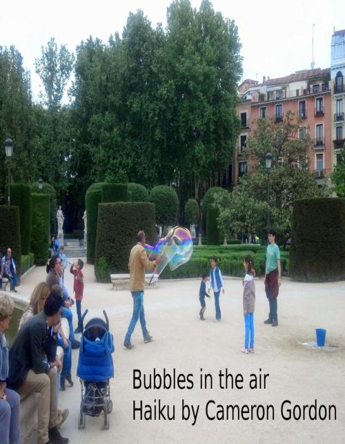 Cover of the book Bubbles In The Air by Cameron Gordon, Cameron Gordon