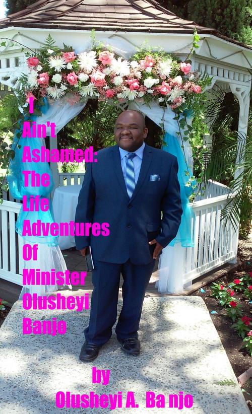 Cover of the book I Ain't Ashamed:The Life Adventures Of Minister Olusheyi Banjo by Olusheyi Banjo, Olusheyi Banjo