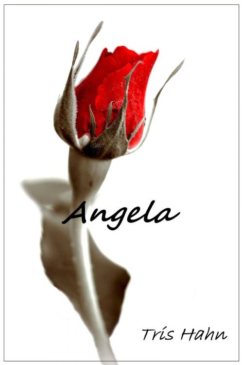 Cover of the book Angela by Tris Hahn, Tris Hahn
